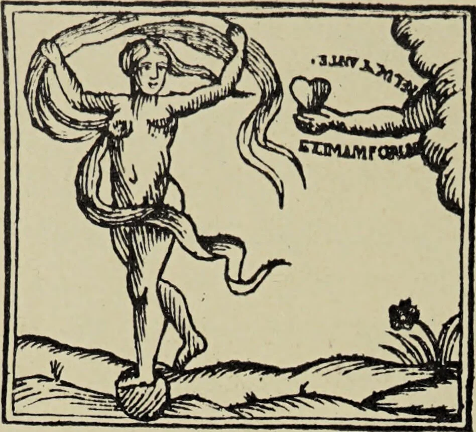 An illustration from Le musée des sorciers : mages et alchemistes / par Grillot de Givry., 1929, leaf 414