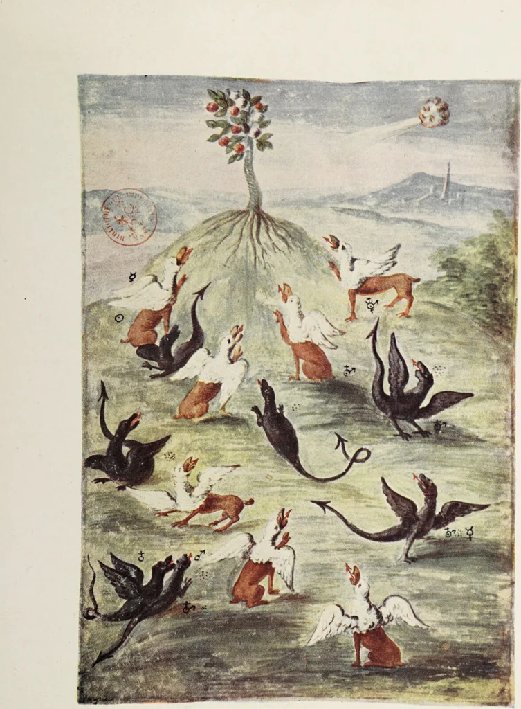 An illustration from Le musée des sorciers : mages et alchemistes / par Grillot de Givry., 1929, leaf 421