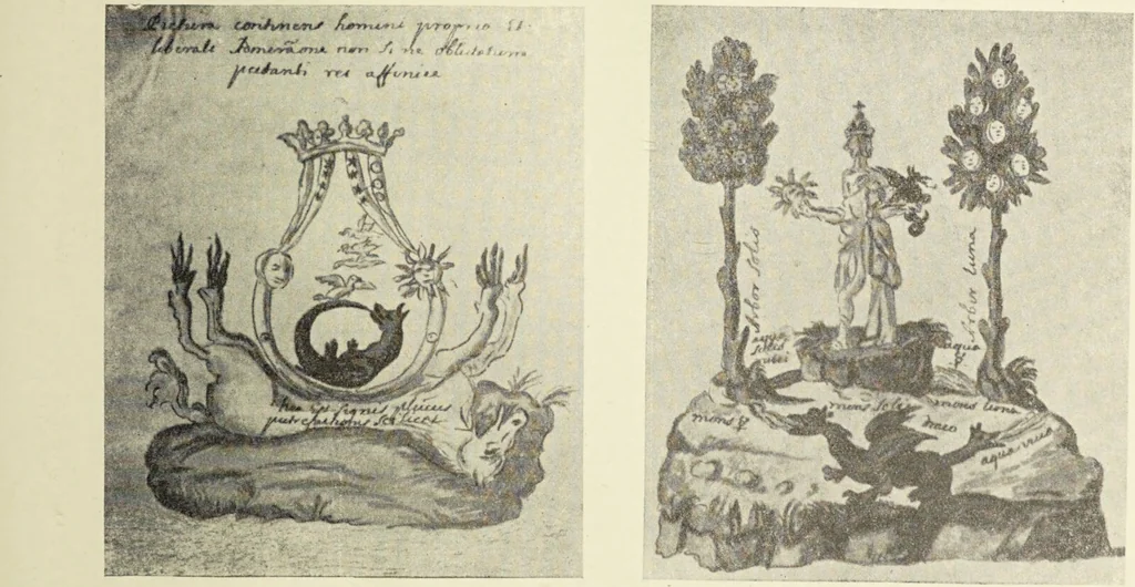 An illustration from Le musée des sorciers : mages et alchemistes / par Grillot de Givry., 1929, leaf 439