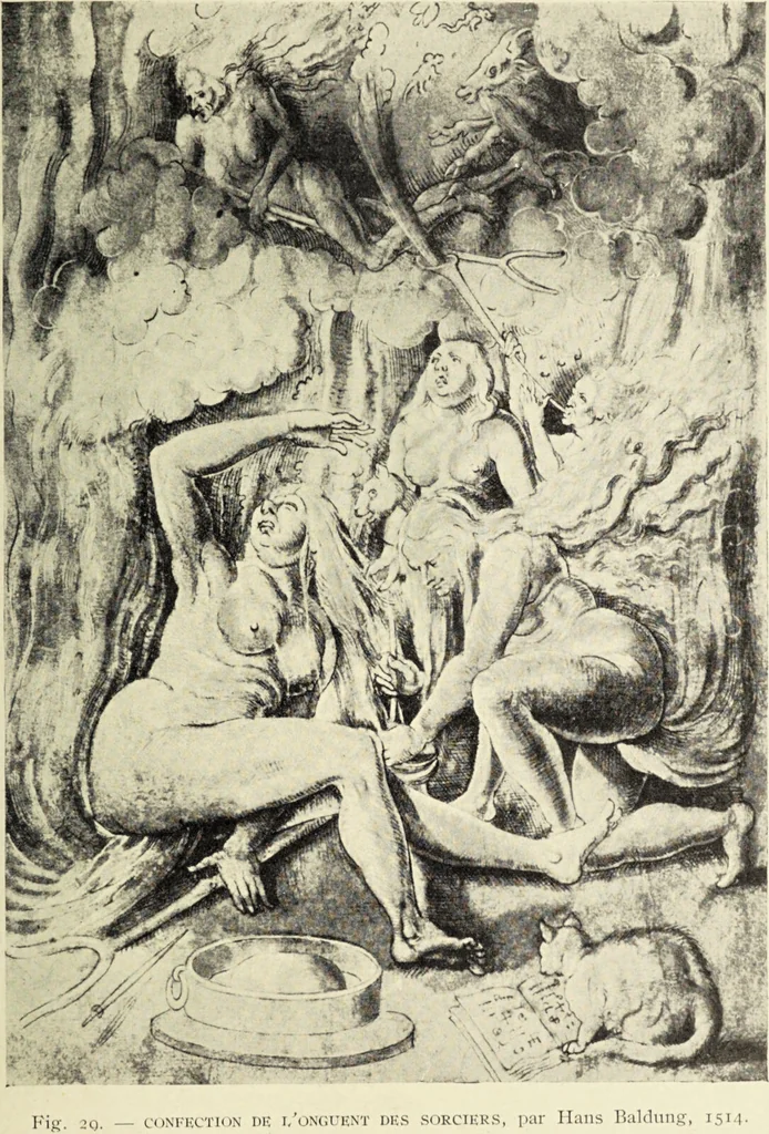 An illustration from Le musée des sorciers : mages et alchemistes / par Grillot de Givry., 1929, leaf 65