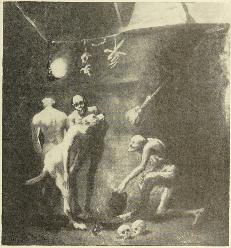 An illustration from Le musée des sorciers : mages et alchemistes / par Grillot de Givry., 1929, leaf 79