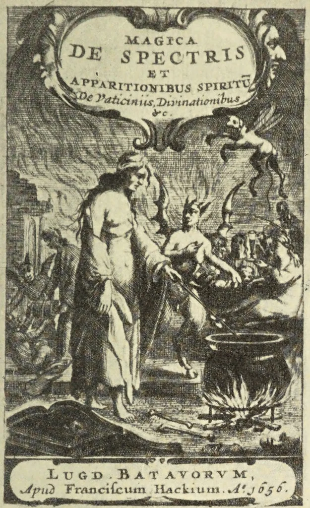 An illustration from Le musée des sorciers : mages et alchemistes / par Grillot de Givry., 1929, leaf 93
