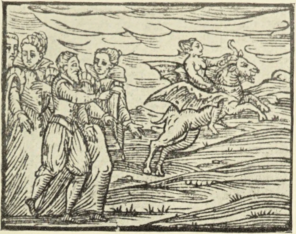 An illustration from Le musée des sorciers : mages et alchemistes / par Grillot de Givry., 1929, leaf 95
