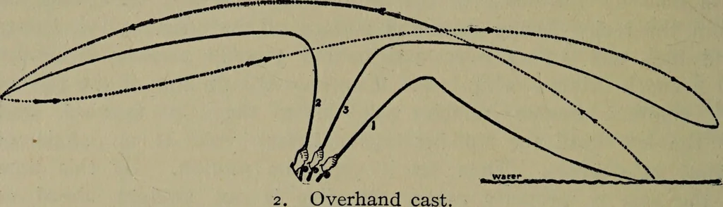 An illustration from American food and game fishes : A popular account of all the species found in America north of the equator / with keys for ready identification, life histories and methods of capture, by David Starr Jordan and Barton Warren Evermann, illustrated with colored plates and text drawings, and with photographs from life by A. Radclyffe Dugmore., 1902, leaf 52