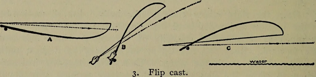 An illustration from American food and game fishes : A popular account of all the species found in America north of the equator / with keys for ready identification, life histories and methods of capture, by David Starr Jordan and Barton Warren Evermann, illustrated with colored plates and text drawings, and with photographs from life by A. Radclyffe Dugmore., 1902, leaf 52