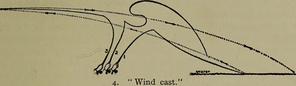 An illustration from American food and game fishes : A popular account of all the species found in America north of the equator / with keys for ready identification, life histories and methods of capture, by David Starr Jordan and Barton Warren Evermann, illustrated with colored plates and text drawings, and with photographs from life by A. Radclyffe Dugmore., 1902, leaf 53