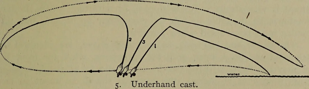 An illustration from American food and game fishes : A popular account of all the species found in America north of the equator / with keys for ready identification, life histories and methods of capture, by David Starr Jordan and Barton Warren Evermann, illustrated with colored plates and text drawings, and with photographs from life by A. Radclyffe Dugmore., 1902, leaf 53