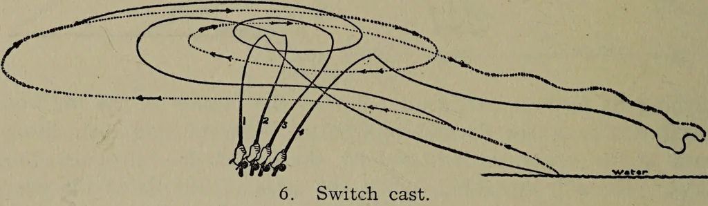 An illustration from American food and game fishes : A popular account of all the species found in America north of the equator / with keys for ready identification, life histories and methods of capture, by David Starr Jordan and Barton Warren Evermann, illustrated with colored plates and text drawings, and with photographs from life by A. Radclyffe Dugmore., 1902, leaf 54