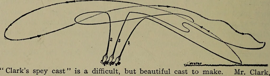 An illustration from American food and game fishes : A popular account of all the species found in America north of the equator / with keys for ready identification, life histories and methods of capture, by David Starr Jordan and Barton Warren Evermann, illustrated with colored plates and text drawings, and with photographs from life by A. Radclyffe Dugmore., 1902, leaf 56