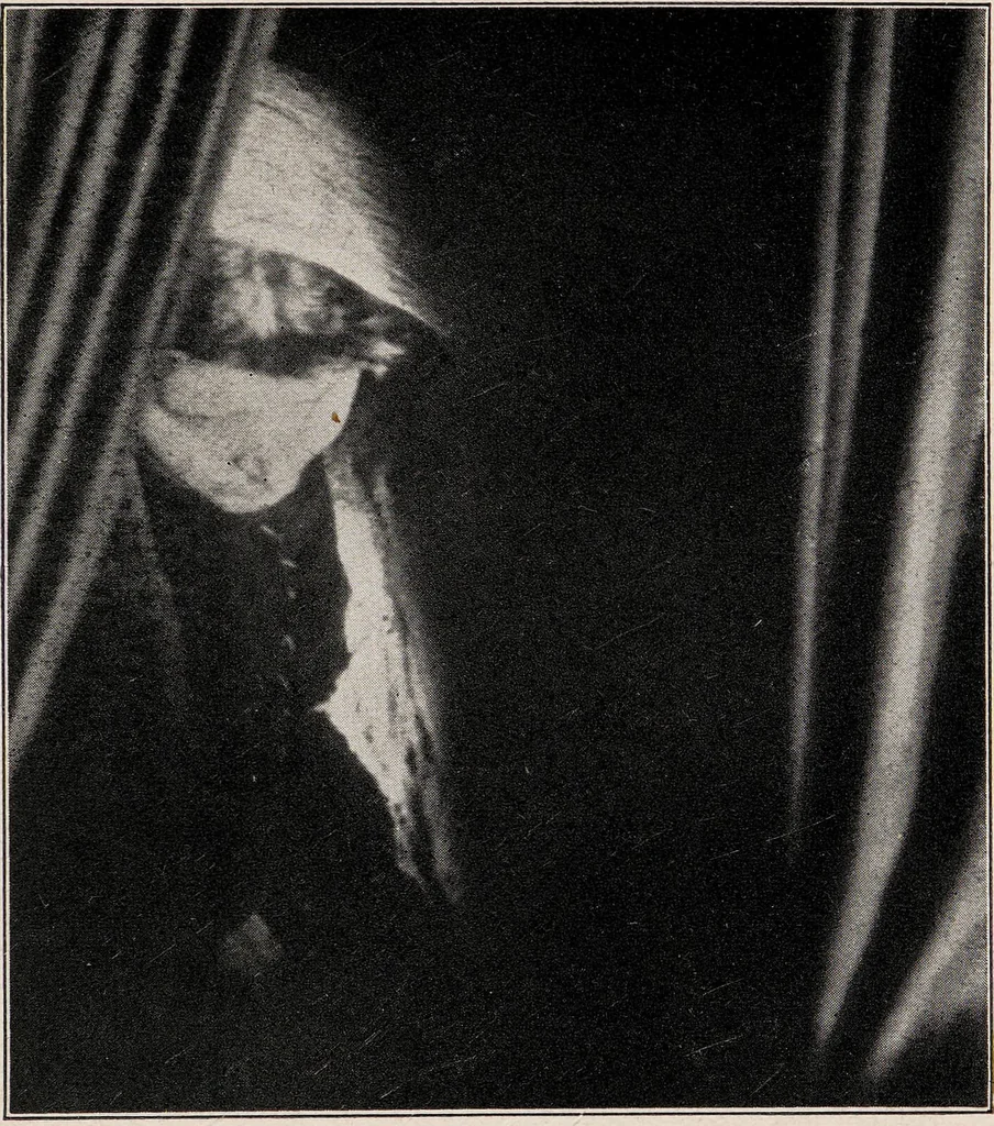 An illustration from Phenomena of materialisation : a contribution to the investigation of mediumistic teleplastics / by Baron von Schrenck Notzing ; translated by E.E. Fournier d'Albe., 1923, leaf 129