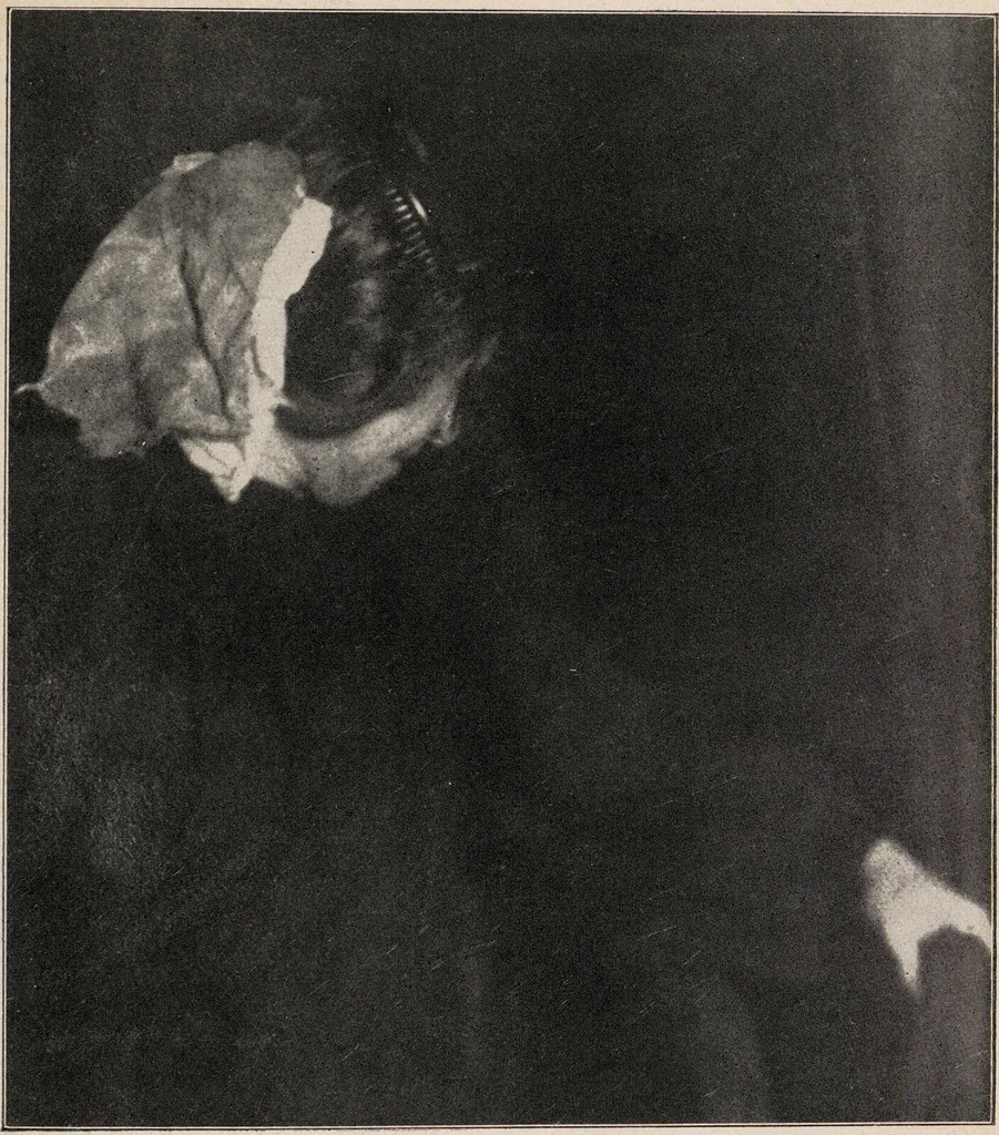 An illustration from Phenomena of materialisation : a contribution to the investigation of mediumistic teleplastics / by Baron von Schrenck Notzing ; translated by E.E. Fournier d'Albe., 1923, leaf 185