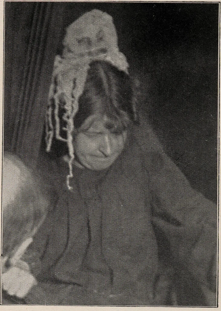 An illustration from Phenomena of materialisation : a contribution to the investigation of mediumistic teleplastics / by Baron von Schrenck Notzing ; translated by E.E. Fournier d'Albe., 1923, leaf 220