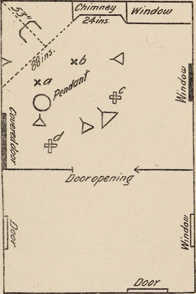 An illustration from Phenomena of materialisation : a contribution to the investigation of mediumistic teleplastics / by Baron von Schrenck Notzing ; translated by E.E. Fournier d'Albe., 1923, leaf 235