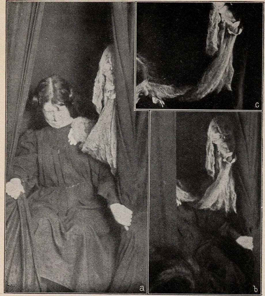 An illustration from Phenomena of materialisation : a contribution to the investigation of mediumistic teleplastics / by Baron von Schrenck Notzing ; translated by E.E. Fournier d'Albe., 1923, leaf 256
