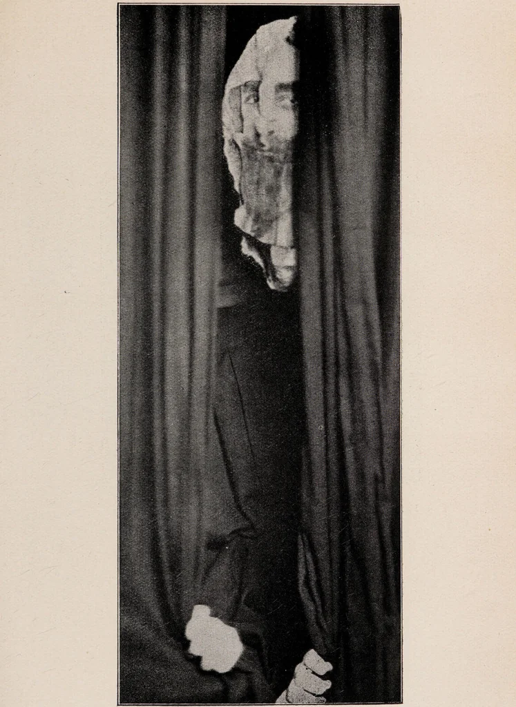 An illustration from Phenomena of materialisation : a contribution to the investigation of mediumistic teleplastics / by Baron von Schrenck Notzing ; translated by E.E. Fournier d'Albe., 1923, leaf 257