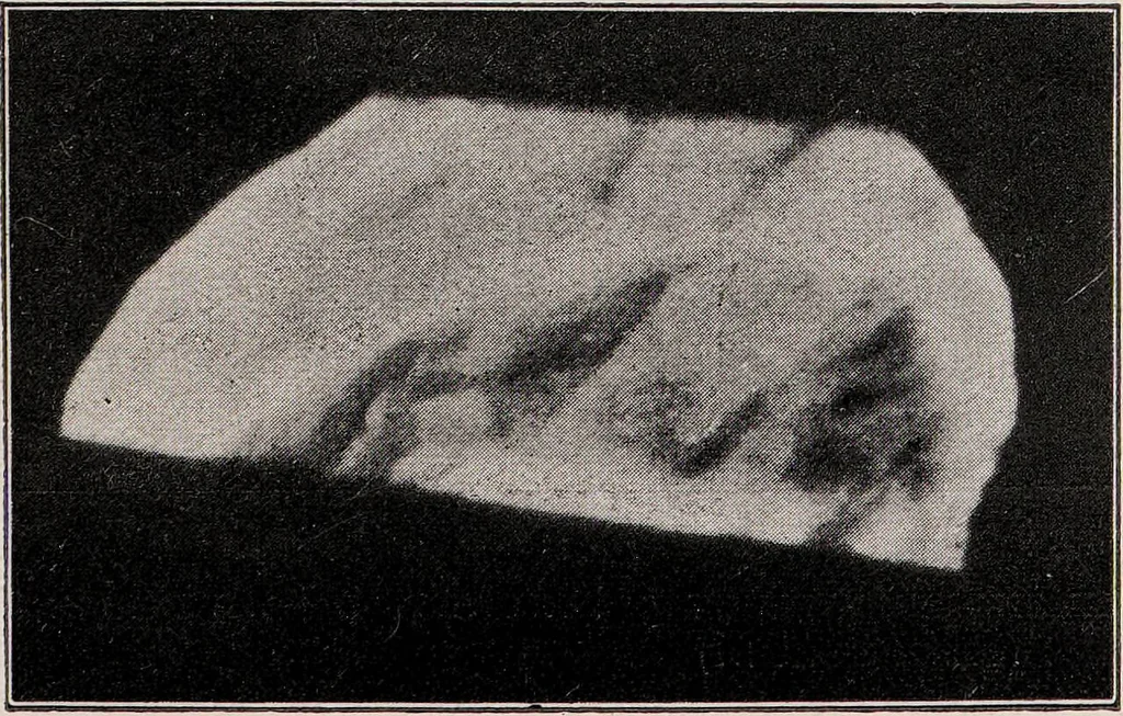 An illustration from Phenomena of materialisation : a contribution to the investigation of mediumistic teleplastics / by Baron von Schrenck Notzing ; translated by E.E. Fournier d'Albe., 1923, leaf 327