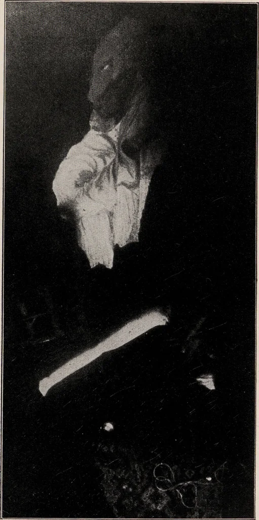 An illustration from Phenomena of materialisation : a contribution to the investigation of mediumistic teleplastics / by Baron von Schrenck Notzing ; translated by E.E. Fournier d'Albe., 1923, leaf 345