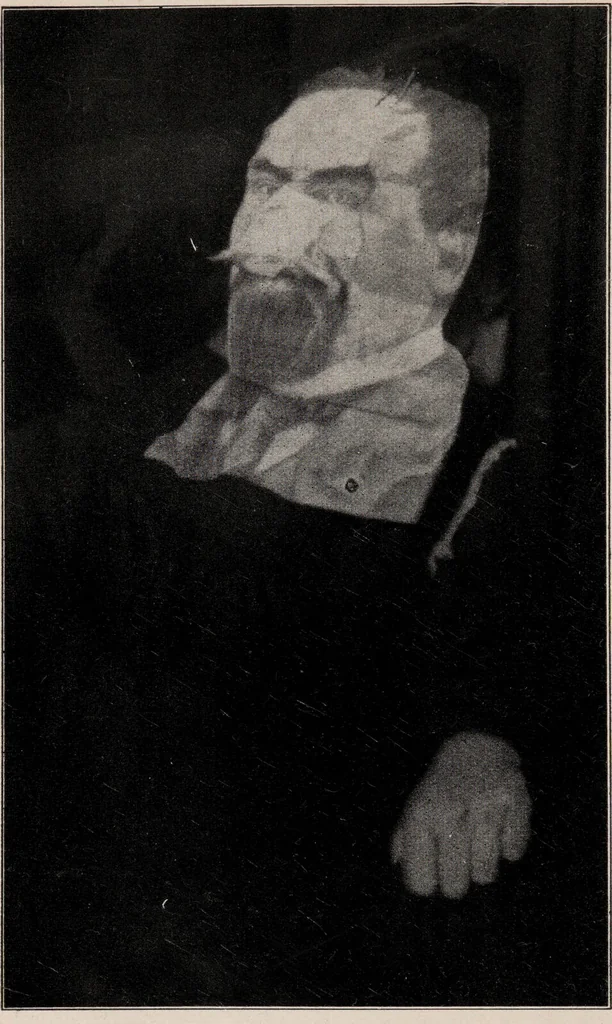 An illustration from Phenomena of materialisation : a contribution to the investigation of mediumistic teleplastics / by Baron von Schrenck Notzing ; translated by E.E. Fournier d'Albe., 1923, leaf 354