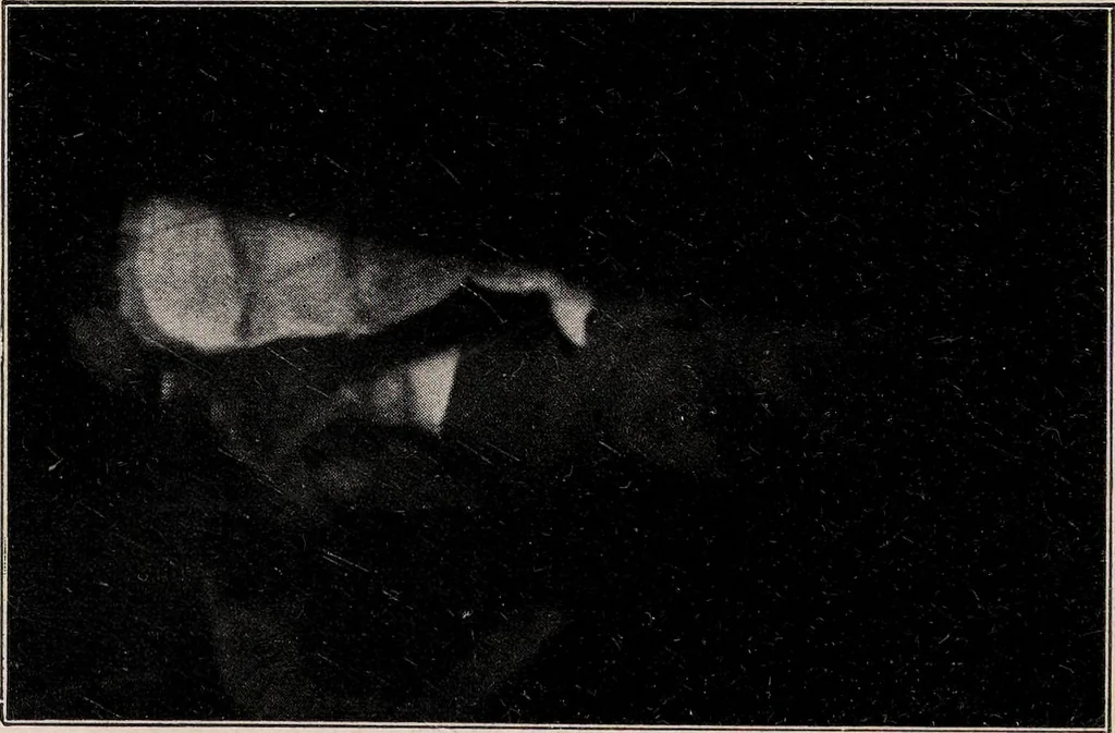 An illustration from Phenomena of materialisation : a contribution to the investigation of mediumistic teleplastics / by Baron von Schrenck Notzing ; translated by E.E. Fournier d'Albe., 1923, leaf 358