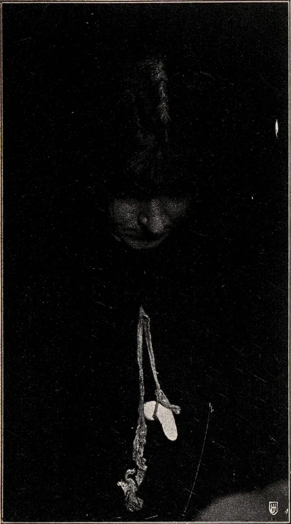 An illustration from Phenomena of materialisation : a contribution to the investigation of mediumistic teleplastics / by Baron von Schrenck Notzing ; translated by E.E. Fournier d'Albe., 1923, leaf 362