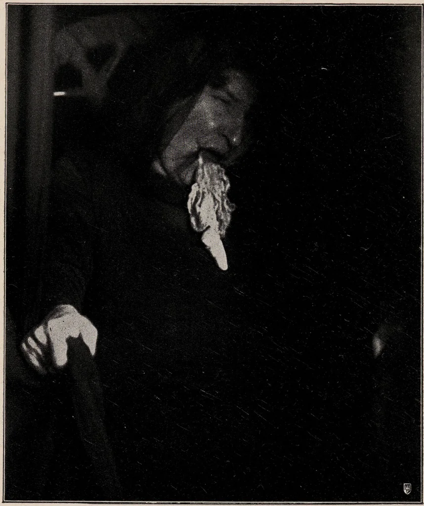 An illustration from Phenomena of materialisation : a contribution to the investigation of mediumistic teleplastics / by Baron von Schrenck Notzing ; translated by E.E. Fournier d'Albe., 1923, leaf 370