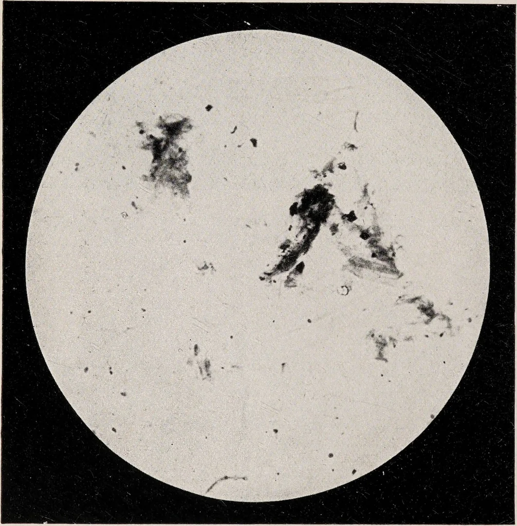 An illustration from Phenomena of materialisation : a contribution to the investigation of mediumistic teleplastics / by Baron von Schrenck Notzing ; translated by E.E. Fournier d'Albe., 1923, leaf 392
