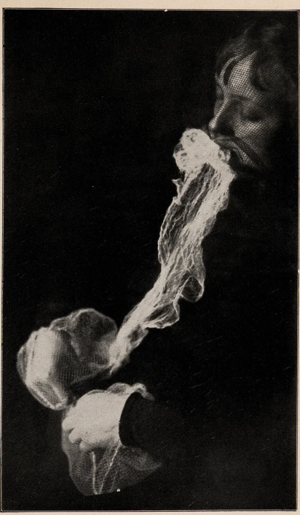 An illustration from Phenomena of materialisation : a contribution to the investigation of mediumistic teleplastics / by Baron von Schrenck Notzing ; translated by E.E. Fournier d'Albe., 1923, leaf 411