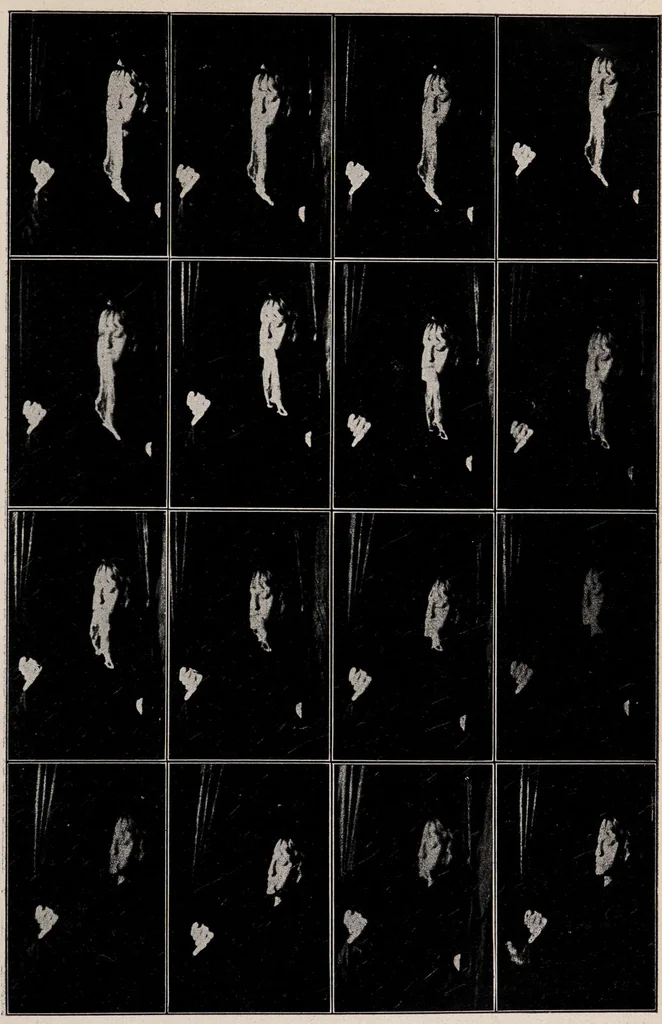 An illustration from Phenomena of materialisation : a contribution to the investigation of mediumistic teleplastics / by Baron von Schrenck Notzing ; translated by E.E. Fournier d'Albe., 1923, leaf 419
