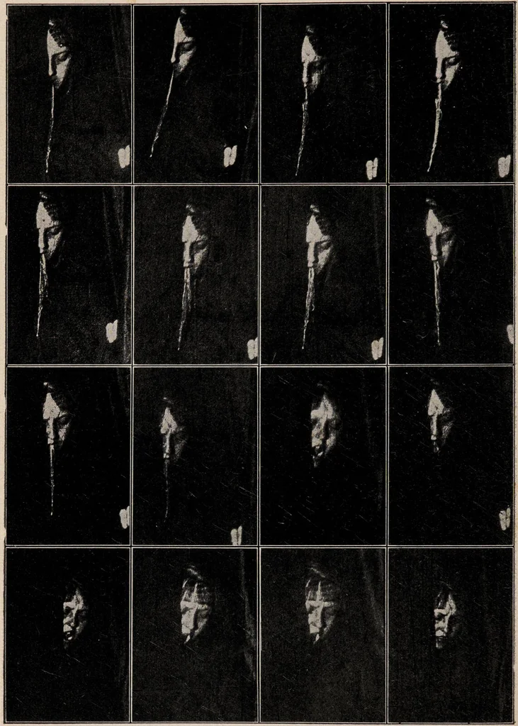 An illustration from Phenomena of materialisation : a contribution to the investigation of mediumistic teleplastics / by Baron von Schrenck Notzing ; translated by E.E. Fournier d'Albe., 1923, leaf 420