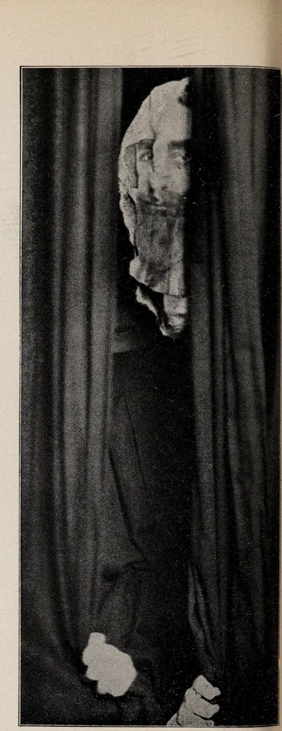 An illustration from Phenomena of materialisation : a contribution to the investigation of mediumistic teleplastics / by Baron von Schrenck Notzing ; translated by E.E. Fournier d'Albe., 1923, leaf 468