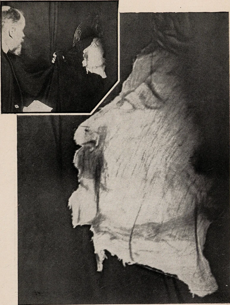An illustration from Phenomena of materialisation : a contribution to the investigation of mediumistic teleplastics / by Baron von Schrenck Notzing ; translated by E.E. Fournier d'Albe., 1923, leaf 491