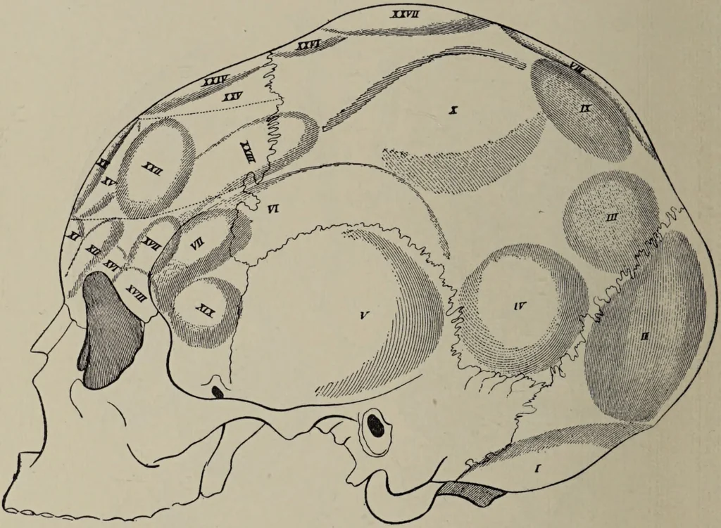 An illustration from Franz Joseph Gall / von P. J. Möbius., 1905, leaf 104