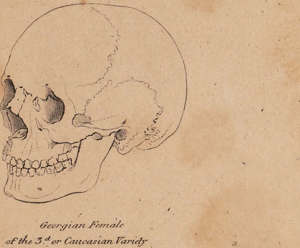 An illustration from Treatise on the influence of climate on the human species; and on the varieties of men resulting from it; including an account of the criteria of intelligence which the form of the head presents; and a sketch of a rational system of physiognomy as founded on physiology / By N.C. Pitta, M.D., President of the Royal Physical Society of Edinburgh, extraordinary member of the Royal Medical Society of the same city, member of the Society of Natural History there, and physician at Madeira., 1812, leaf 109