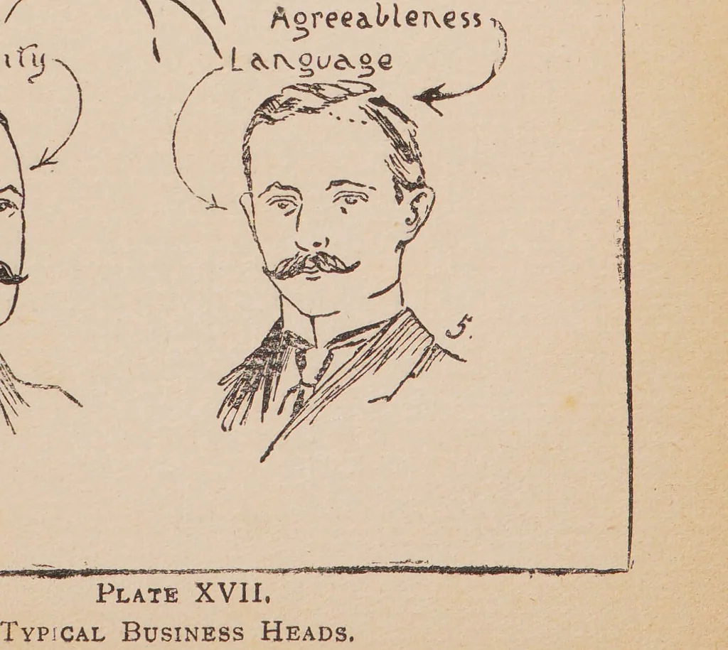 An illustration from Heads and how to read them : a popular guide to phrenology / by Stackpool E. O'Dell., 1901, leaf 103