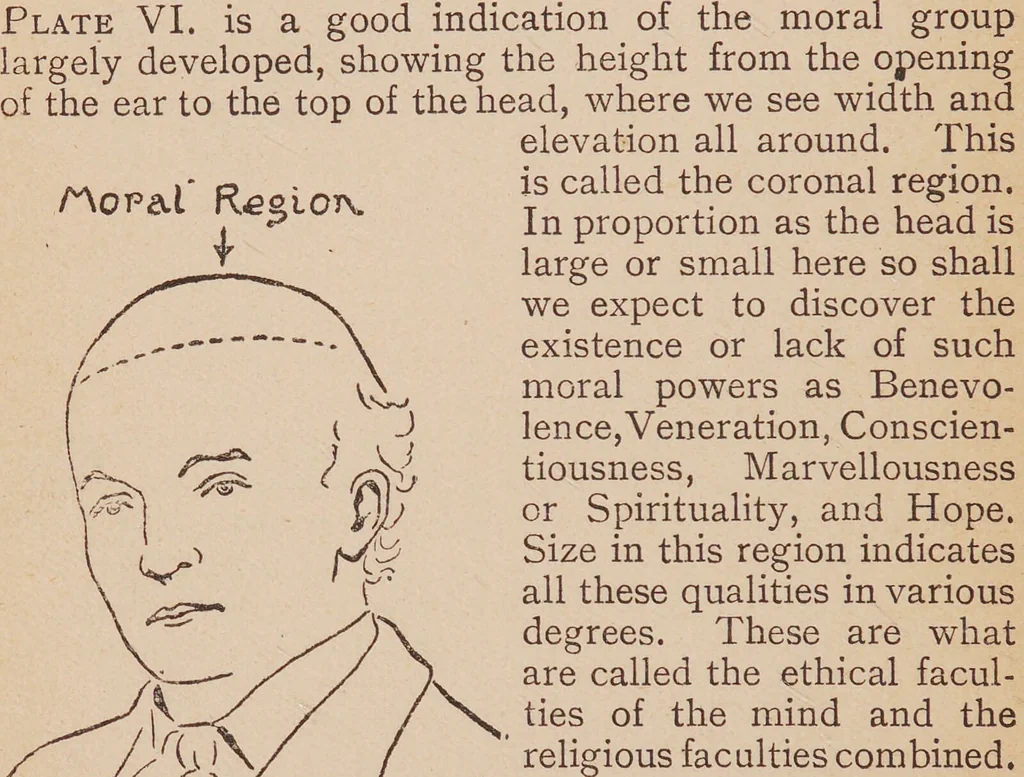 An illustration from Heads and how to read them : a popular guide to phrenology / by Stackpool E. O'Dell., 1901, leaf 42