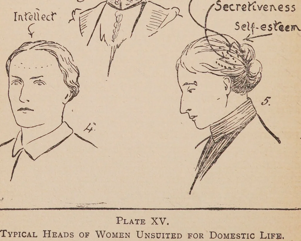 An illustration from Heads and how to read them : a popular guide to phrenology / by Stackpool E. O'Dell., 1901, leaf 94