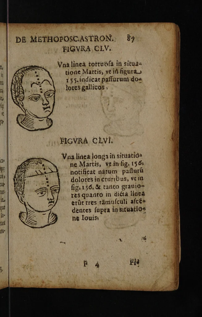 An illustration from Philippi Phinellae, De methoposcopia astronomica de duodecim signis coelestibus., 1650, leaf 101