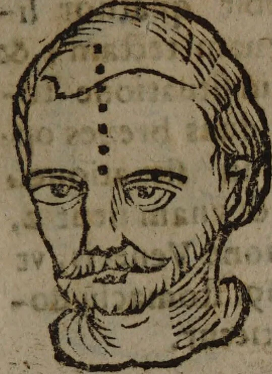 An illustration from Philippi Phinellae, De methoposcopia astronomica de duodecim signis coelestibus., 1650, leaf 107
