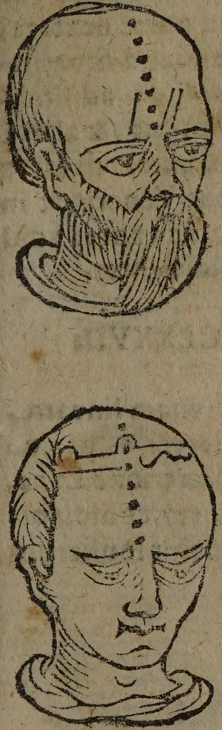 An illustration from Philippi Phinellae, De methoposcopia astronomica de duodecim signis coelestibus., 1650, leaf 111