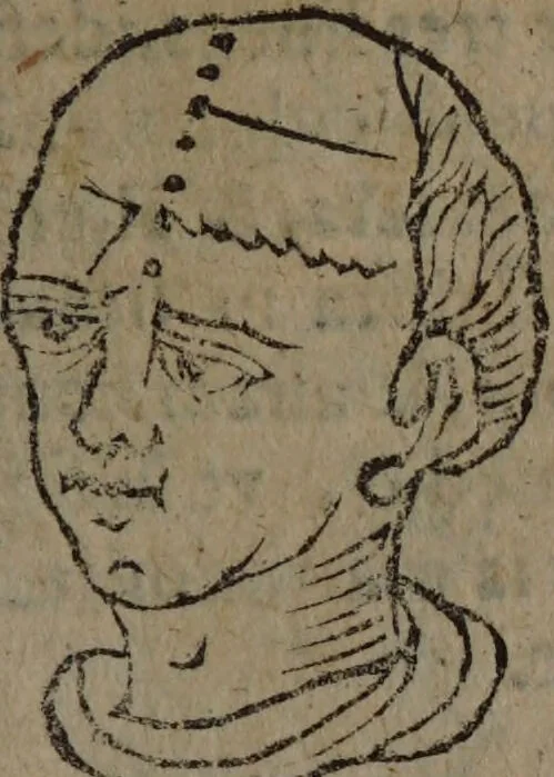 An illustration from Philippi Phinellae, De methoposcopia astronomica de duodecim signis coelestibus., 1650, leaf 115
