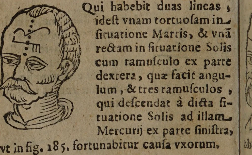 An illustration from Philippi Phinellae, De methoposcopia astronomica de duodecim signis coelestibus., 1650, leaf 116