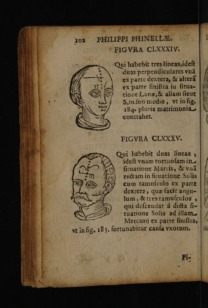 An illustration from Philippi Phinellae, De methoposcopia astronomica de duodecim signis coelestibus., 1650, leaf 116