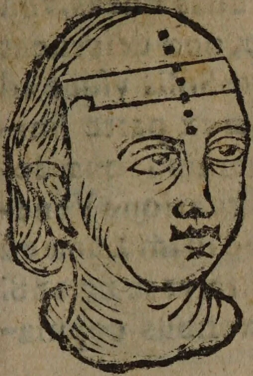 An illustration from Philippi Phinellae, De methoposcopia astronomica de duodecim signis coelestibus., 1650, leaf 117