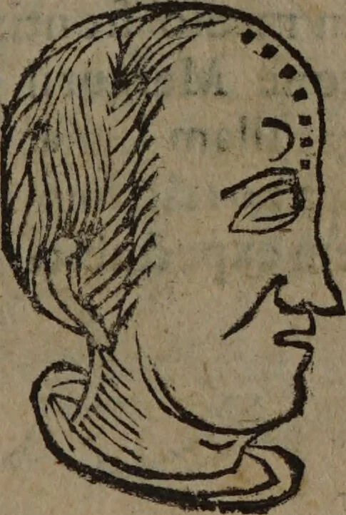 An illustration from Philippi Phinellae, De methoposcopia astronomica de duodecim signis coelestibus., 1650, leaf 123