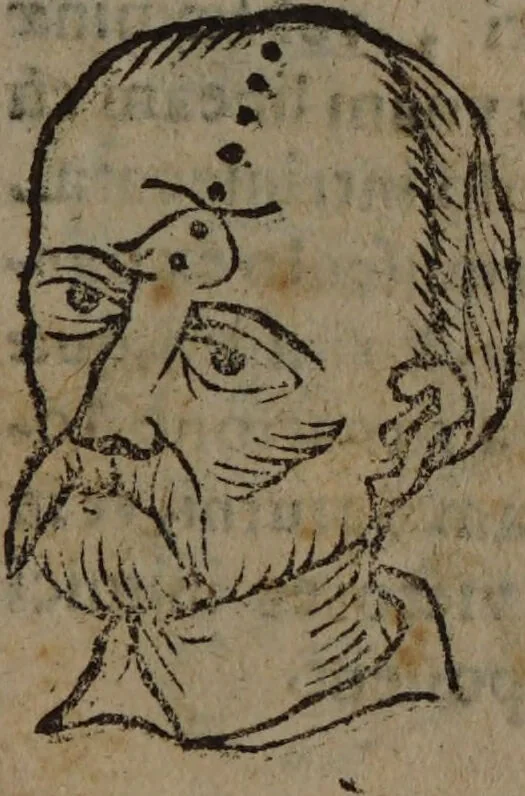 An illustration from Philippi Phinellae, De methoposcopia astronomica de duodecim signis coelestibus., 1650, leaf 125