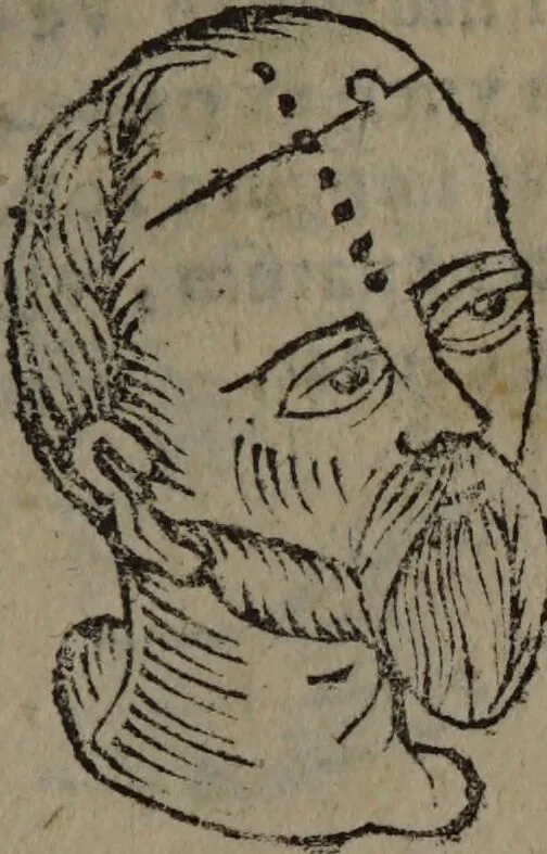 An illustration from Philippi Phinellae, De methoposcopia astronomica de duodecim signis coelestibus., 1650, leaf 127