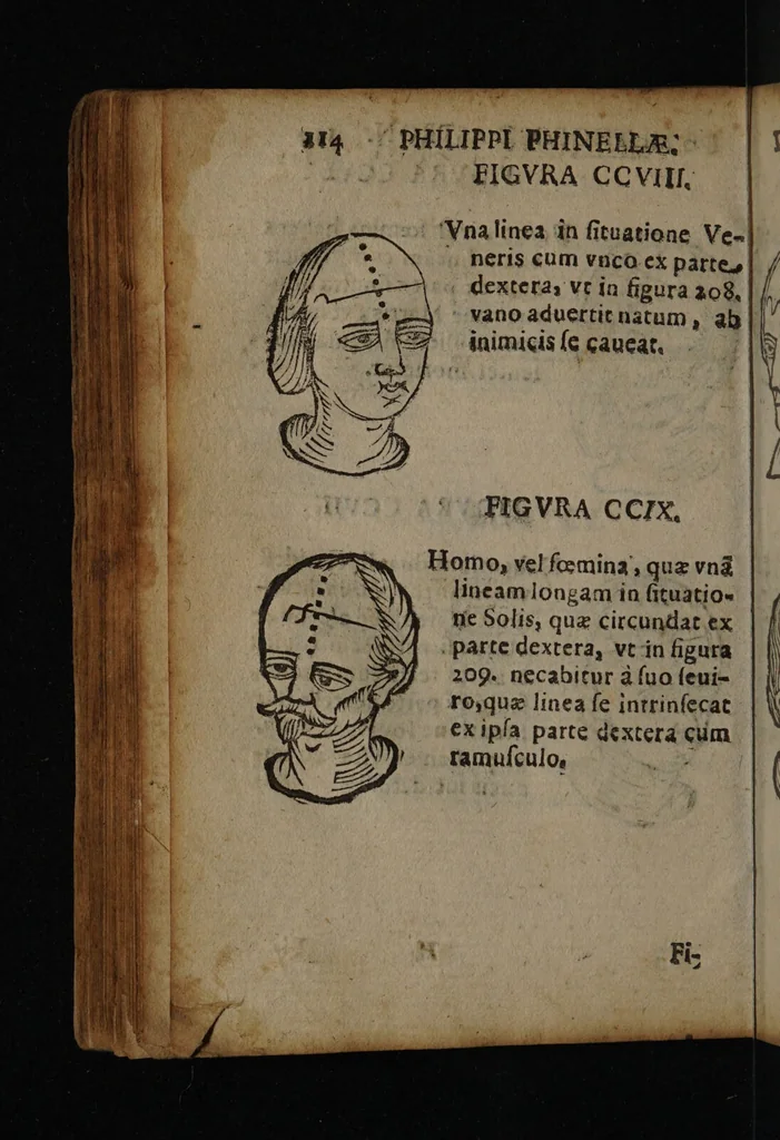 An illustration from Philippi Phinellae, De methoposcopia astronomica de duodecim signis coelestibus., 1650, leaf 128