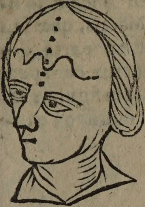 An illustration from Philippi Phinellae, De methoposcopia astronomica de duodecim signis coelestibus., 1650, leaf 129