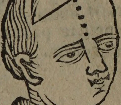 An illustration from Philippi Phinellae, De methoposcopia astronomica de duodecim signis coelestibus., 1650, leaf 129