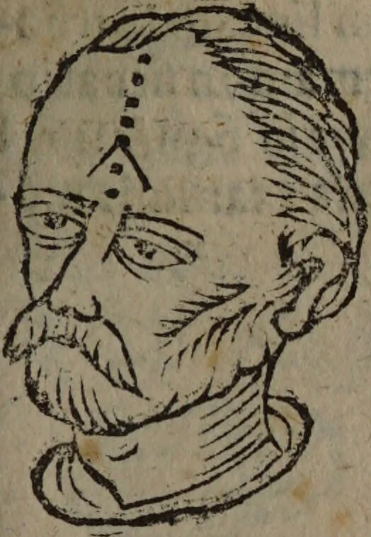 An illustration from Philippi Phinellae, De methoposcopia astronomica de duodecim signis coelestibus., 1650, leaf 131